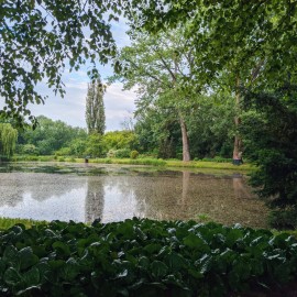 Ogród Botaniczny – spacer fotograficzny